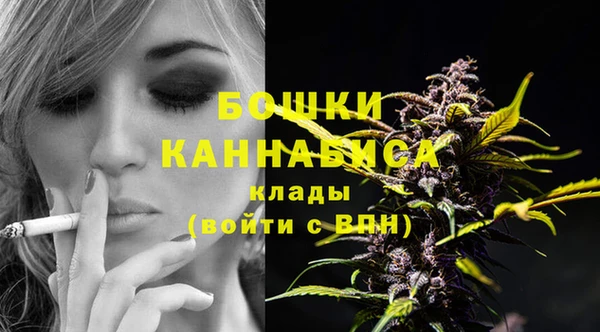 ECSTASY Богородицк